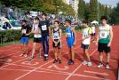 palio 503_101125121222